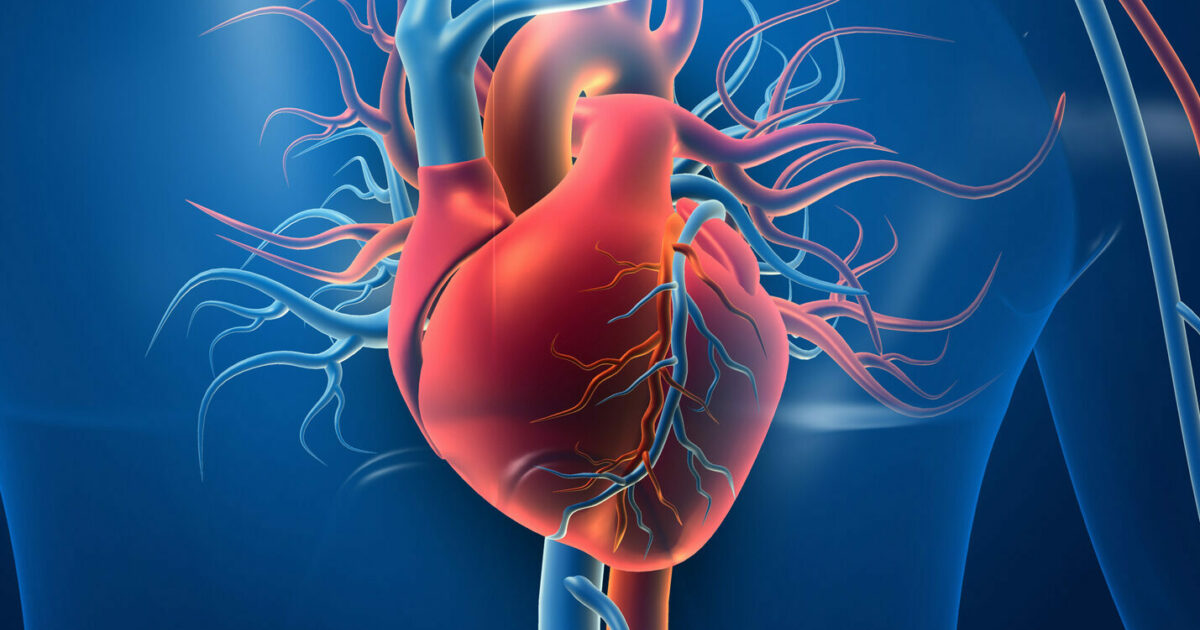 The Rising Tide of Heart Disease in India: A Call for Enhanced Health Awareness and Preventive Measures
