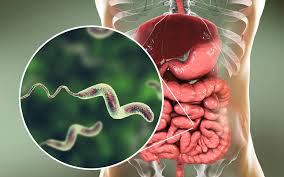The Alarming Toll of Diarrheal Diseases: A Call for Urgent Action