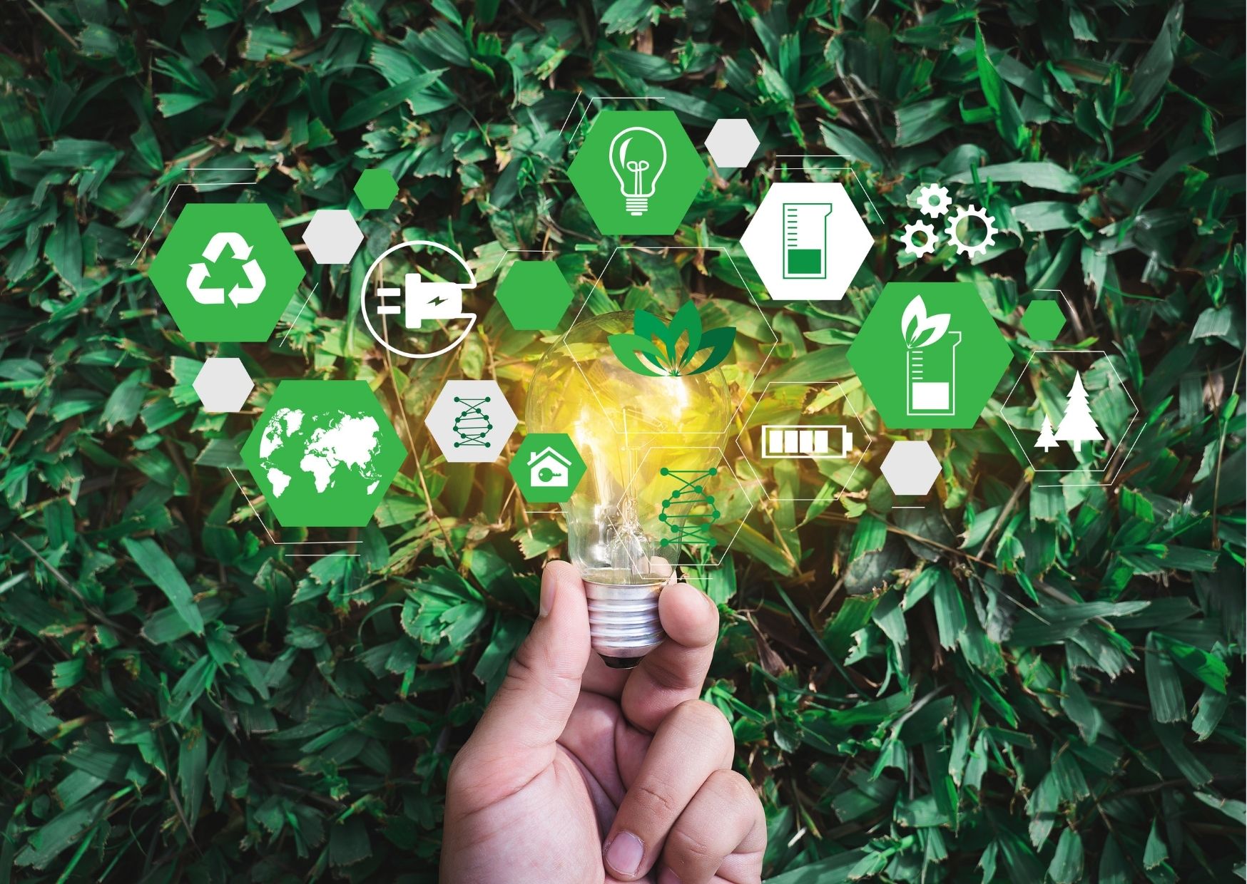 Sustainable Business Practices In India: How Companies Are Going Green In India