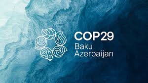 COP29: Progress Amidst Criticism, And The Path Forward